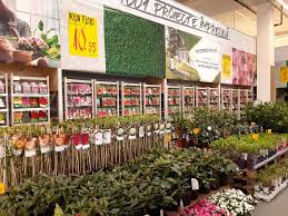 Βρες τα πάντα για είδη σπιτιού, είδη ανακαίνισης και diy σε κορυφαίες τιμές. Leroy Merlin Targu Mures Materiale De ConstrucÅ£ii General In Targu MureÈ AdresÄ Orar Recenzii Tel 0374411 Infobel