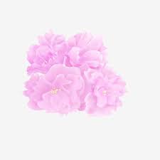 Aplikasi bbm adalah merupakan alat percakapan jual tanaman bunga mawar pink di lapak erkha florist erkhaflorist16 via bukalapak.com. Gambar Empat Bunga Pink Kecil Yang Indah Bunga Pink Cantik Png Transparan Clipart Dan File Psd Untuk Unduh Gratis