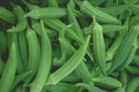 Cara Mengolah Okra Dengan Benar Dan Tepat Sayuran Okra Tanaman Obat