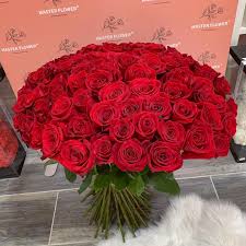 Otopeni, balotesti, baneasa (zona mall), tunari, corbeanca. Kozzeteve Itt Sapun Flower