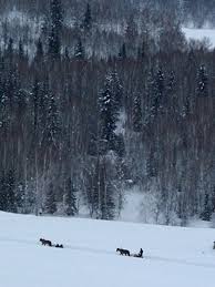 Tim cope, on his 10,000km journey to ride by horse from mongolia to hungary on the 'trail of genghis khan' travels into winter in kazakhstan.learning to car. Kazakhstan Travel Guide