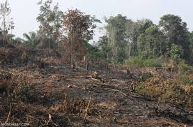 Learn more about the signs that may reveal you have an issue that need attention. Para Ahli Tentang Upaya Menangani Radikalisme Di Indonesia Para Ahli Tentang Upaya Menangani Radikalisme Di Indonesia Bahkan Kasus Terorisme Terus Meningkat Di Indonesia