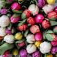 Spring Craft Market 2025