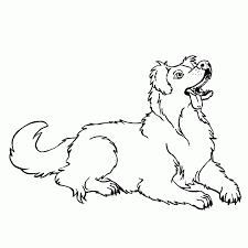 Australian shepherd coloring pages are a fun way for kids of all ages to develop creativity, focus, motor skills and color recognition. Australian Shepherd Coloring Pages Coloring Home