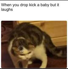 See what ilda cabrita (ildacabrita) has discovered on pinterest, the world's biggest collection of ideas. Memes 8 Recomendaciones Diogo Cabrita Diogocabrita03 Peoople