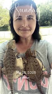 👋 My cute little dragons 🐉