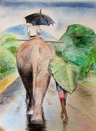 Elephant Faber Castell Student Grade Colour Pencil Art On Canvas Paper Color Pencil Art Canvas Paper Canvas Art