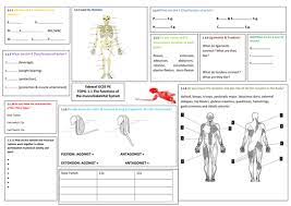 Gcse Pe Edexcel 9 1 Revision Flashcards Teaching Resources Gcse Pe Teaching Flashcards