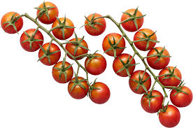 The kitchen flavor bombs tomatoes health. Honey Bombs Sunset Grown All Rights Reserved