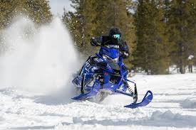 Image result for Starlight Silver 1968 Snowmobile