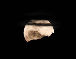 Lunile pline in pesti sunt prin excelenta incarcate de romantism dar acum, in sezon de cules roade, semnificatia este cu atat. 845 Aprecieri 38 Comentarii Luis Farinango Luisfarinango87 Pe Instagram Luna Llena O Luna Del Cazador 13 10 2019 In 2020 Instagram Posts Instagram Image