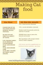 Healthy cat food recipes that you homemade cat food is made of natural food items and is great for the digestive system of cats. Picky Cat Food Recipes Pet Nurse Marie Healthy Cat Food Homemade Cat Food Raw Cat Food Recipes