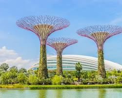 濱海灣花園