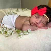 PDF) Los ejemplos en las gramáticas del español como lengua extranjera:  Siglo de Oro