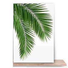 Daun santan euclidean, bahan tekstur daun kelapa, sudut rendah daun kelapa di bawah langit yang. Pajangan Dinding Rumah Hiasan Shabby Chic Motif Daun Kelapa Terbaru Agustus 2021 Harga Murah Kualitas Terjamin Blibli