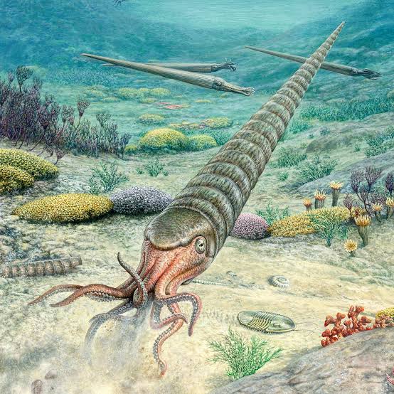 Culprit for Mass Extinction 445 Million Years Ago? Global Warming - The New  York Times