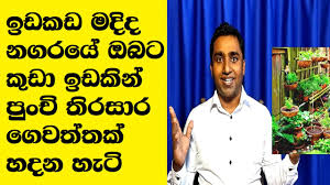 Pests are one of the biggest hurdles for beginner gardeners. Small Vegetable Garden Ideas In Sri Lanka Benefits And How To Manage An Urban Home Garden Bloom And Grow Photography