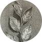 Workshop | Nature Drawing with Graphite Powder - Ashburton Art Gallery, 327 West St Event Image