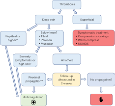 Deep venous thrombosis (dvt) is a manifestation of venous thromboembolism (vte). Below Knee Deep Vein Thrombosis Dvt Diagnostic And Treatment Patterns Fleck Cardiovascular Diagnosis And Therapy