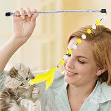 Jouet à plumes pour chat, canne à pêche pour chat, jouet naturel pour chat  domestique