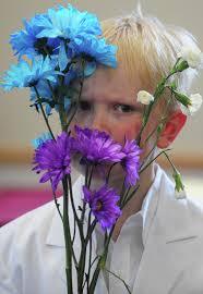 Norwalk Hour Pictures of the Year 2017