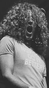 Pin By Ann Marie Lorenzo On Zep Led Zeppelin Robert Plant Led Zep