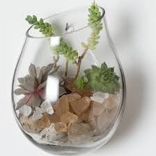 Unique Terrarium Containers Wall Terrarium Terrarium Tabletop Terrarium