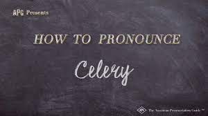 Celery |ˈsɛləri|noun  mass noun a cultivated plant of the parsley family, with closely packed succulent leaf stalks which are used as a salad or cooked veg. How To Pronounce Celery Celery Pronunciation Youtube