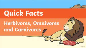 Quick Facts Herbivores Omnivores And Carnivores Video Youtube