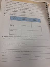 Solved Wsing Matering Review Sheet Exercise Classificatio Chegg Com