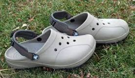 Image result
