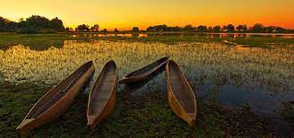 We did not find results for: Okavango Delta Botswana Reisen Safaris Informationen