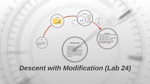 This will lead to change in populations over generations in a process that darwin called descent with modification. Descent With Modification Lab 24 By Dominic Enriquez