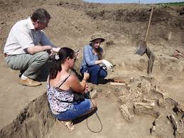 Що накопали цьогоріч. ТОП-7 українських археологічних знахідок ...