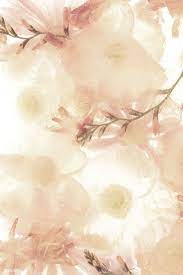 Download Premium Image Of Beige Anemone Flower Background 2270463 Flower Backgrounds Anemone Flower Flower Illustration