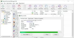 1dm browser sólo muestra un pequeño anuncio, . Internet Download Manager The Fastest Download Accelerator