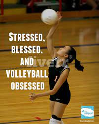 75 Volleyball Motivational Quotes And Images That Inspire Success Volleyball Motivation Inspirational Volleyball Quotes Volleyball Humor