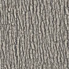 Image result for tree bark