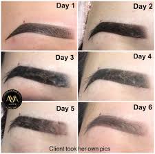 Katie Dang On Instagram Ombre Shading Healing Stages Next Class Santaana Nyc Hawaii Chicago Philadelp Microblading Microblading Eyebrows Brow Makeup