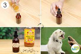 Top 3 Homemade Anti Itch Dog Spray Recipes Fab How