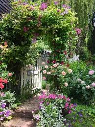 Pin On Rose Garden