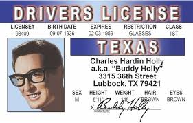 Amazon.com: Signs 4 Fun NHID Buddy's Driver's License : Automotive