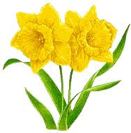 Znalezione obrazy dla zapytania Å¼onkile gify ruchome