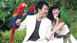 Kl bird park (approximately 20.9 acres of verdant valley terrain) is the home to more than 3,000 birds,approximately 200 species of local and foreign birds. Kl Bird Park Admission Ticket With One Way Transfer In Kuala Lumpur Klook Malaysia