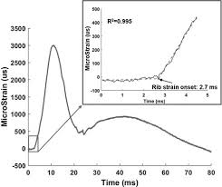 Full article: Comparison of small female PMHS thoracic responses to scaled  response corridors in a frontal hub impact