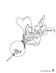 Beetroot Coloring Page Perfect Coloring Sheet For Kids More Content On Hellokids Com Coloring Pages Vegetable Coloring Pages Unique Coloring Pages