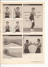 Maybe you would like to learn more about one of these? Wing Chun Blocks Pdf Akzamkowy Org