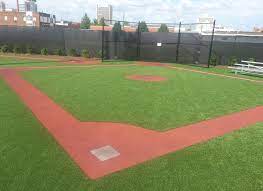 The cubs may not be back on the baseball diamond yet, but there's a young fan in palatine who's already in the midst of his baseball season in his own backyard version of the friendly confines. Regions Field