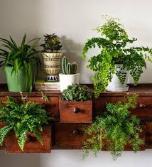 How To Make The Most Of House Plants Plant Decor Houseplants Indoor Indoor Plants