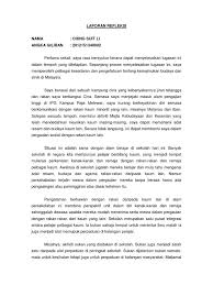 Petikan berikut merupakan pandangan orang melayu terhadap pelaksanaan malayan union yang disiarkan dalam akhbar utusan melayu. Refleksi